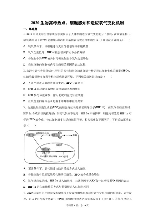 2020生物高考热点：细胞感知和适应氧气变化机制习题(含答案)