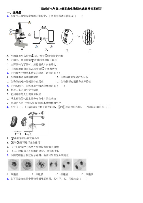 柳州市七年级上册期末生物期末试题及答案解答