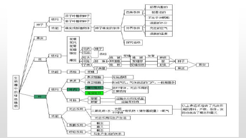 第四章   绿色植物的一生PPT课件