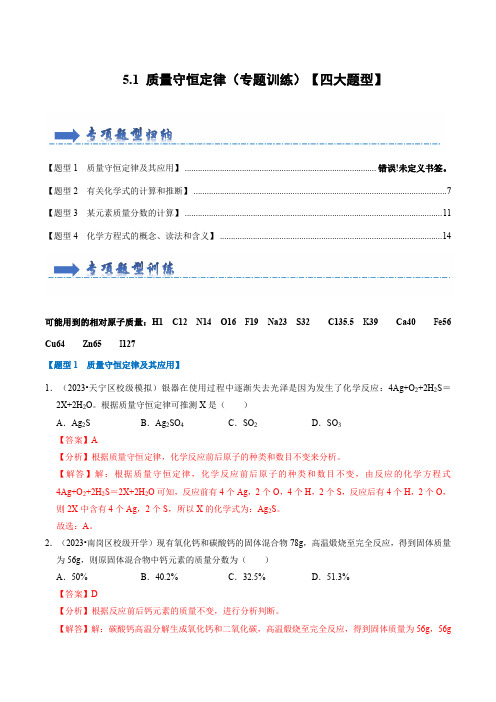 5.1质量守恒定律(专题训练)