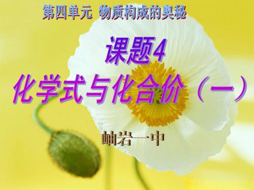 4.4化学式与化合价