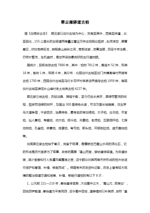 翠云廊驿道古柏