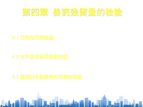 兽药残留量的检验要点(ppt 41页)PPT学习课件