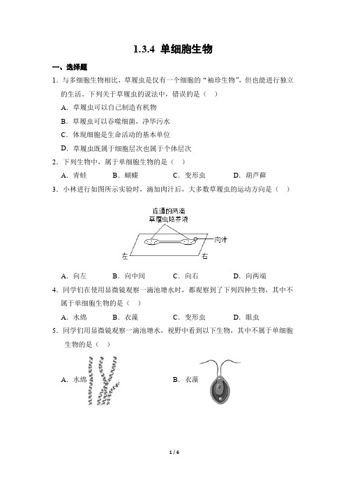 生物人教版2024版七年级上册1.3.4 单细胞生物 课时练02测试卷含答案