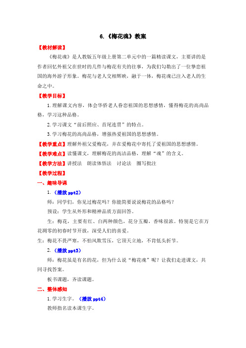 人教版五年级语文上册课件优质教案-第2单元-6-梅花魂