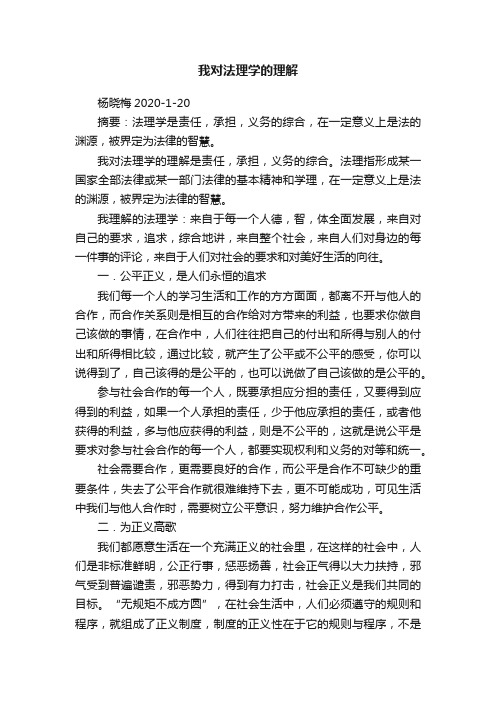 我对法理学的理解