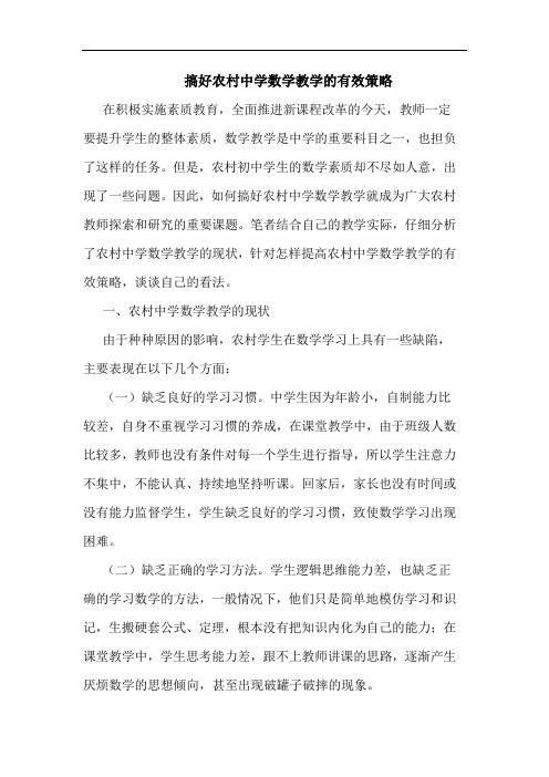 搞好农村中学数学教学有效策略