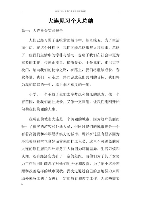 大连见习个人总结doc