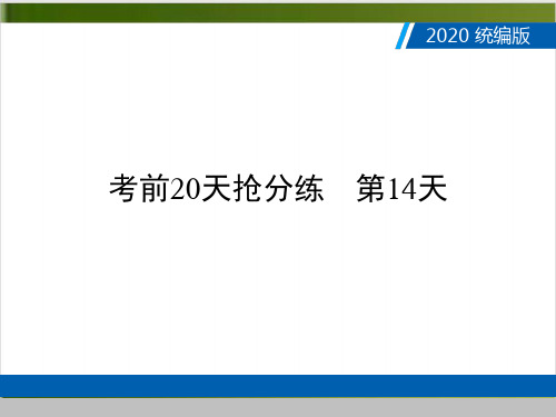 广东中考语文复习课件考前20天抢分练 第14天精品PPT(共17张PPT)