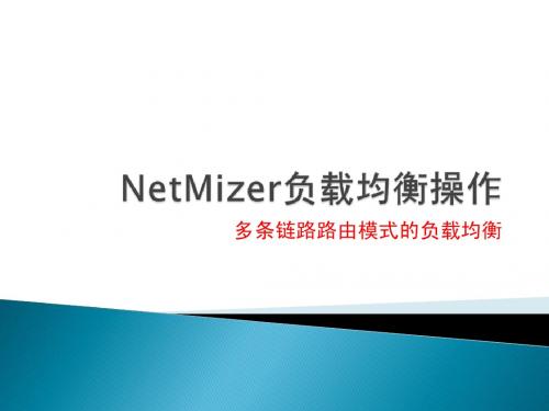 NetMizer负载均衡操作