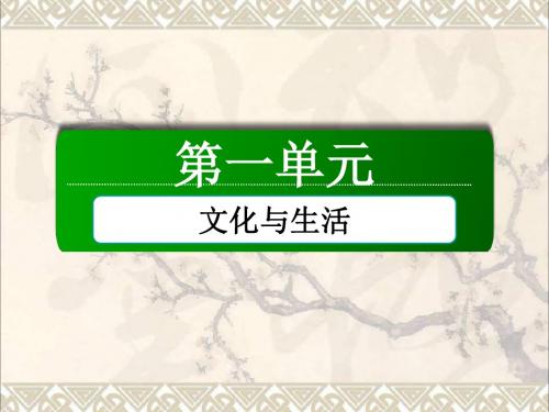 高中政治第一单元第一课第一课时体味文化课件新人教必修3