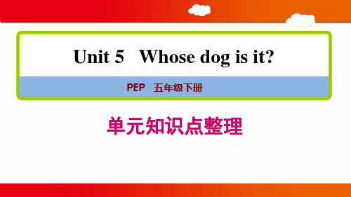 人教pep版五年级英语下册第五单元单元知识点整理