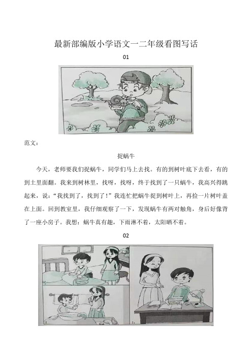 最新部编版小学语文看图写话