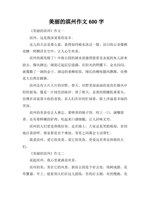 美丽的滨州作文600字