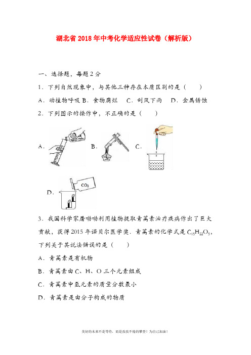 【中考零距离-新课标】最新湖北省中考化学适应性试题及答案详解