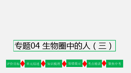 专题04 生物圈中的人(三)【复习课件】-2023年中考生物一轮复习(通用版)