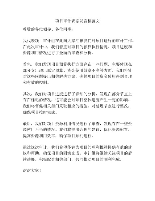 项目审计表态发言稿范文