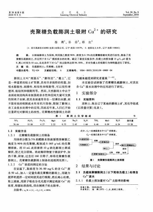 壳聚糖负载膨润土吸附Cu2+的研究