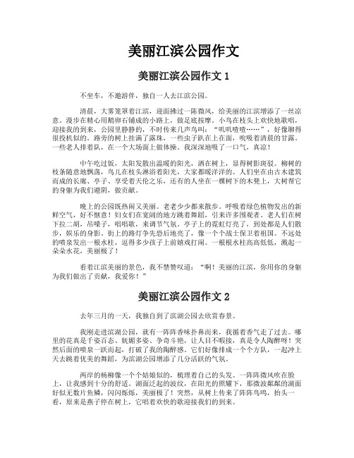 美丽江滨公园作文