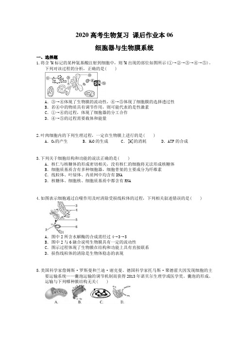 2020高考生物复习 课后作业本06 细胞器与生物膜系统 (含解析)