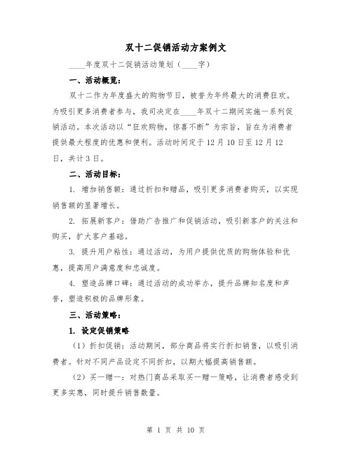 双十二促销活动方案例文（5篇）