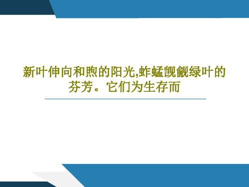 新叶伸向和煦的阳光,蚱蜢觊觎绿叶的芬芳。它们为生存而共26页