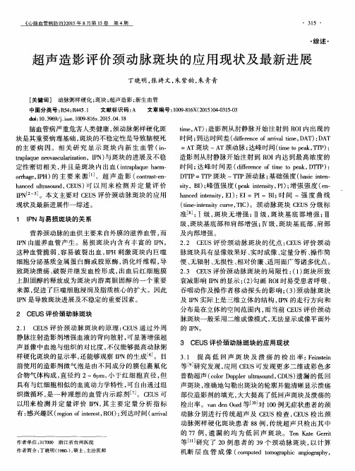 超声造影评价颈动脉斑块的应用现状及最新进展