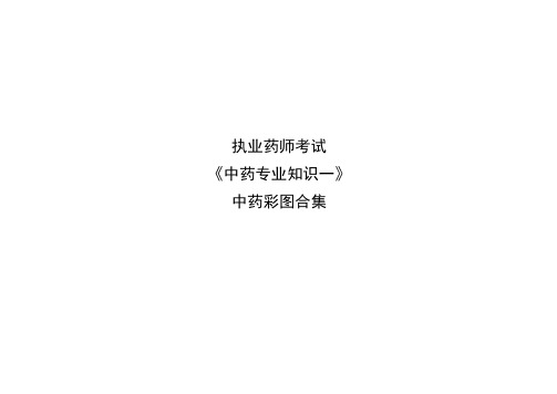 【精华版】执业药师考试《中药专业知识一》中药彩图合集