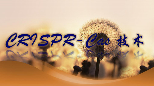 CRISPR Cas技术