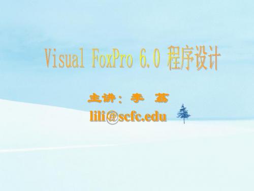 计算机二级 VF课件 第1-2章