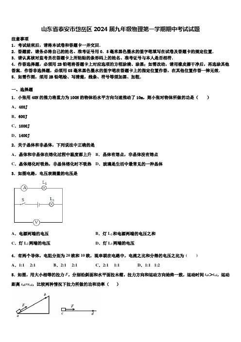 山东省泰安市岱岳区2024届九年级物理第一学期期中考试试题含解析