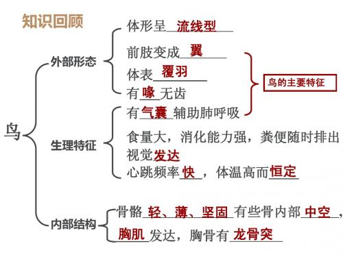 八年级上册 第一章 第七节 哺乳动物(齐欢)