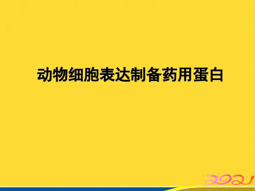 动物细胞表达制备药用蛋白(标准版)ppt资料