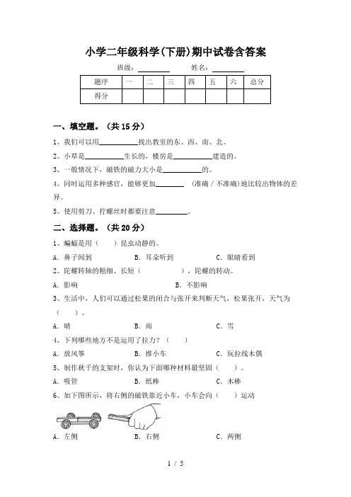 小学二年级科学(下册)期中试卷含答案