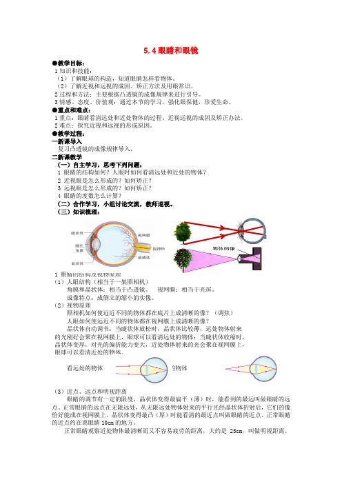 5八年级物理上册5.4 眼睛和眼镜教案 