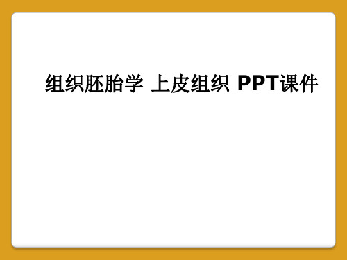 组织胚胎学 上皮组织 PPT课件