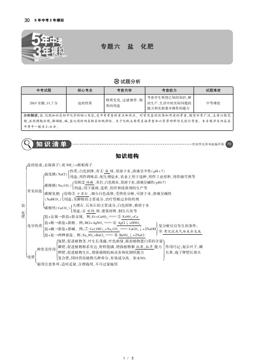 2019年版安徽中考化学专题六  盐   化肥.bak.bak