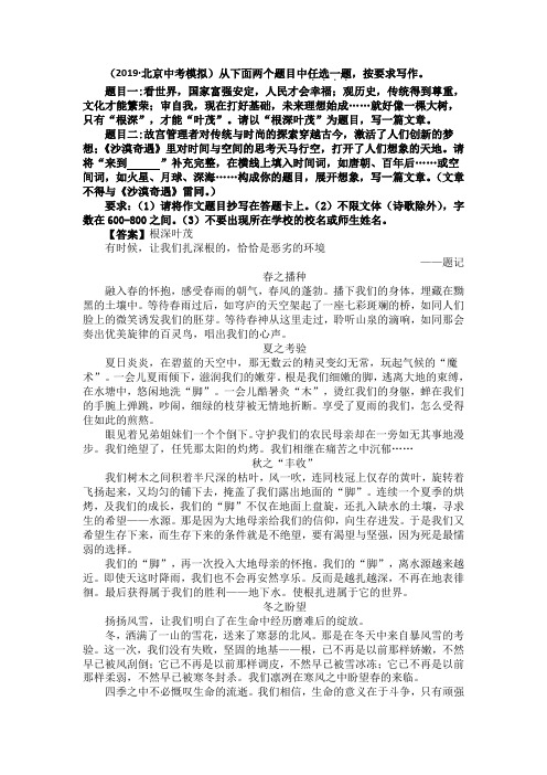 【10篇】中考语文模拟优秀范文