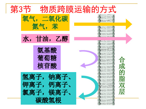 高中生物必修一第四章物质运输的方式 (1)