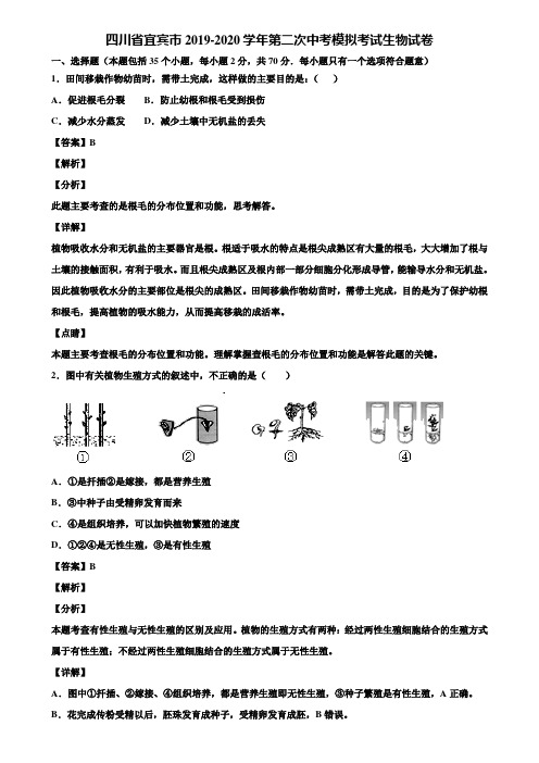 四川省宜宾市2019-2020学年第二次中考模拟考试生物试卷含解析