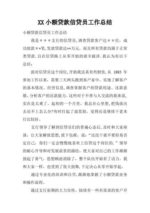 XX小额贷款信贷员工作总结