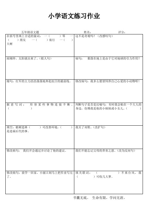 小学五年级语文课堂练习 (1)