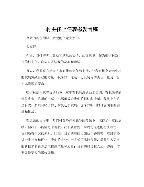 村主任上任表态发言稿