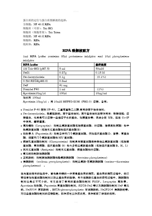 蛋白裂解液