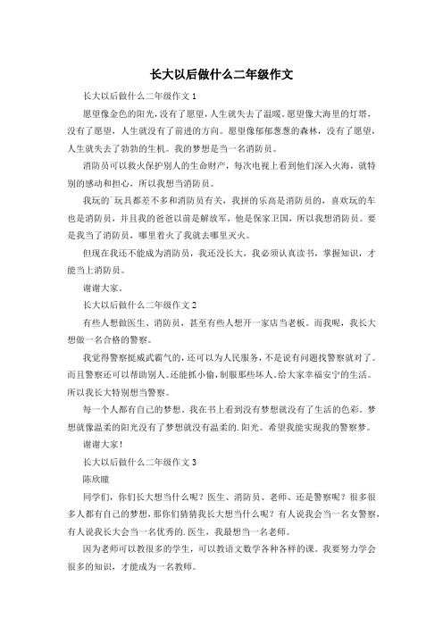 长大以后做什么二年级作文