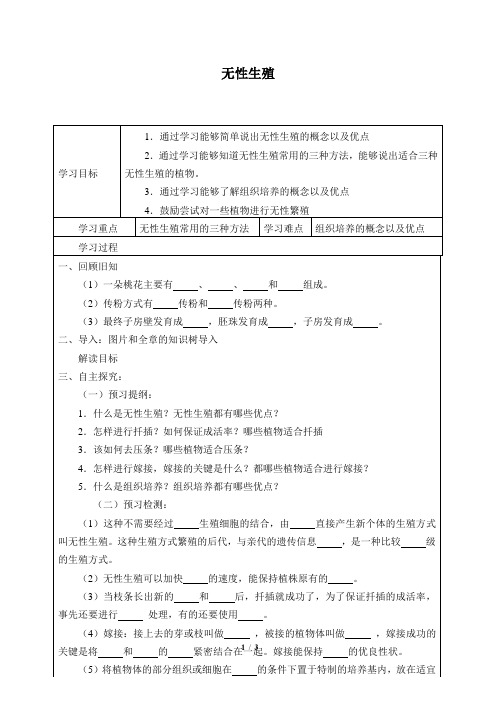 冀少版生物八年级下册：6.1.1.2 无性生殖  学案(无答案)