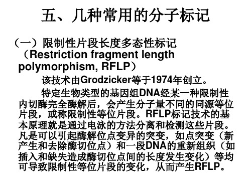 五、几种常用的分子标记