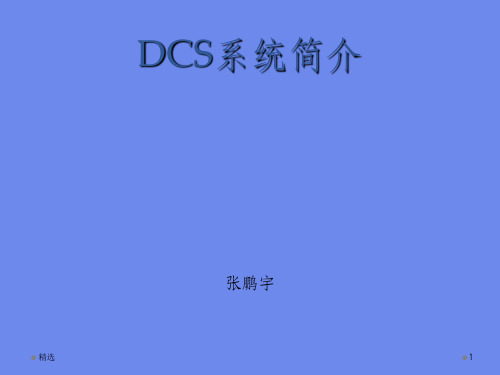 DCS系统介绍PPT课件