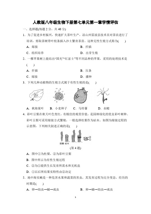 人教版八年级生物下册第七单元第一章学情评估 附答案 (1)