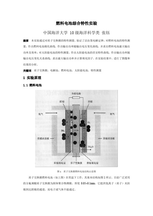 燃料电池综合特性实验